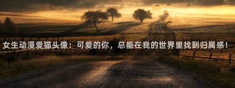 omofun缓存