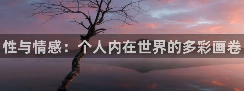 omofun 比较好用：性与情感：个人内在世界的多彩画卷