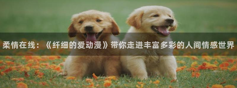 omofun下载app：柔情在线：《纤细的爱动漫》带你走进丰富多彩的人间情感世界