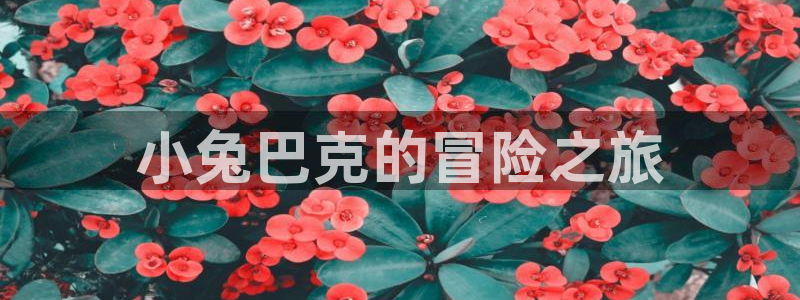 omofun一个：小兔巴克的冒险之旅