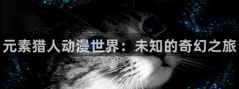 omofun最新下载：元素猎人动漫世界：未知的奇幻之旅