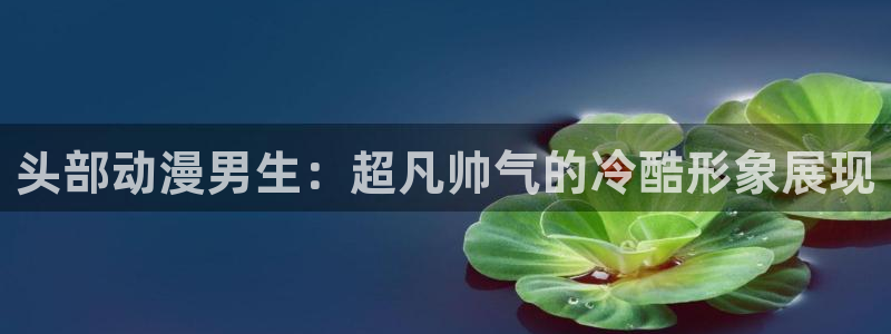 网页版omofun：头部动漫男生：超凡帅气的冷酷形象展现
