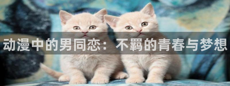 omofun官网网站