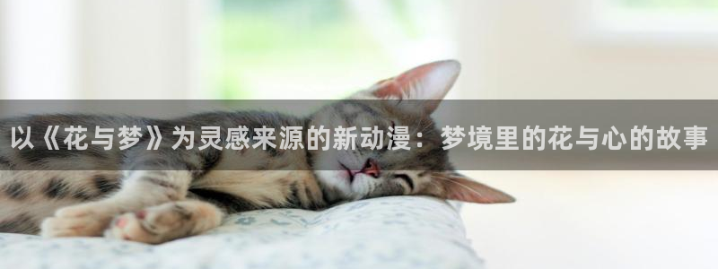 omofun弹幕网