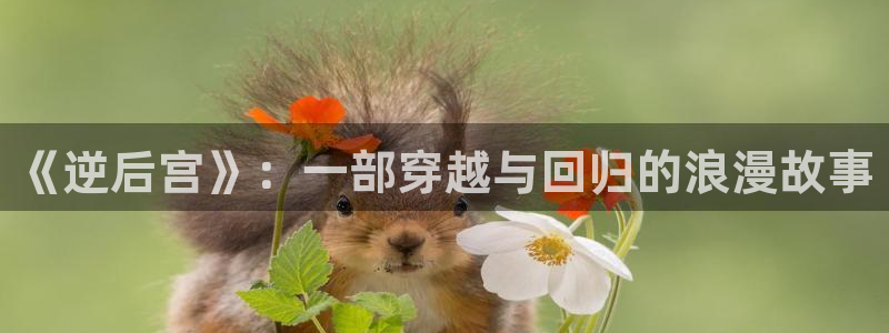 omofun电脑网页版