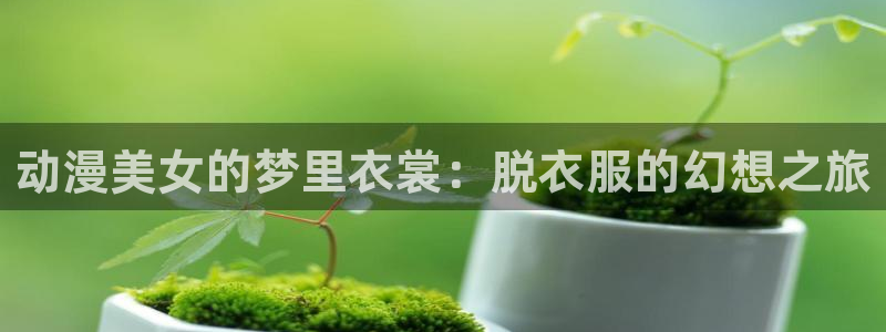 omofun动画网