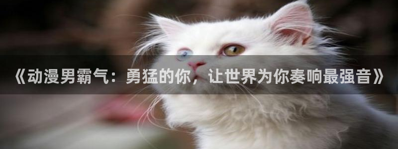 omofun动漫在线观看