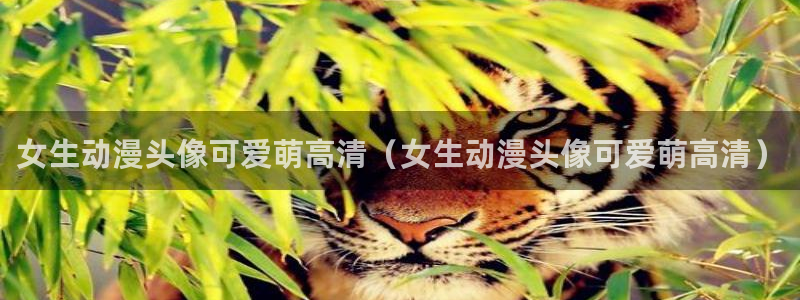 omofun动漫网页