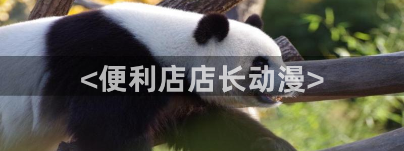 omofun官网下载入口