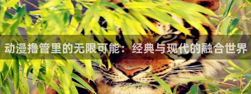 omofun动漫官网入口网址