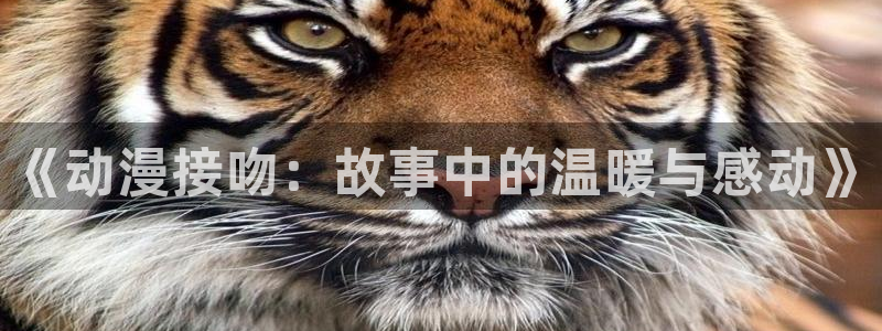 omofun官方版入口