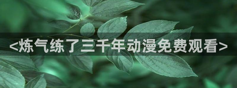 omofun正版官方链接